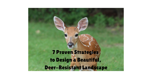 7 Proven Stragies to Design a Beautiful Deer- Resistant Landscape