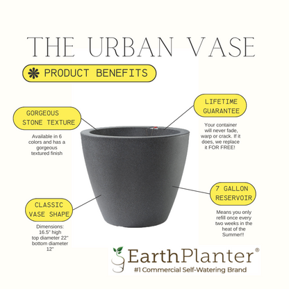 The Urban Vase