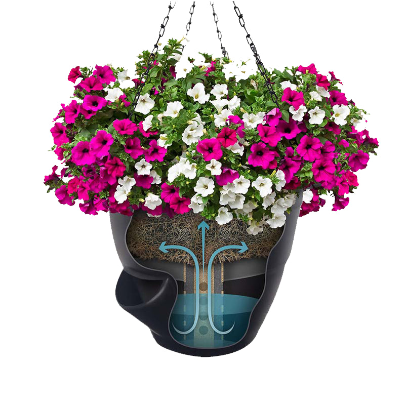 Hanging Basket